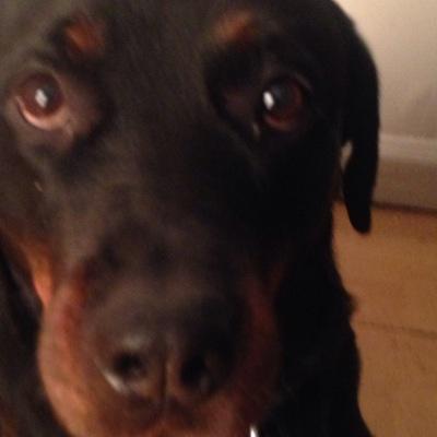 no_violence_gam's profile picture. no violence !!!!!!!! no cod aw no gta 5 its to violent for young kids to have make a stop to all of this madness letting kids have profanity in their ears