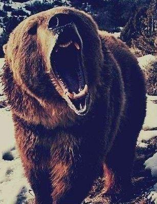 sayKateLi's profile picture. Hello  I'm Kate Li Follow me.I love ❤Supernatural..