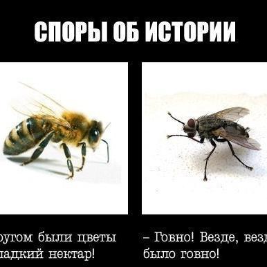 Темно вокруг, и мир исходно
                           страшен.
Он сам собой. Ему не нужно нас
******
Невесело, запущенно и дико
Мой дом произрастает из земли…