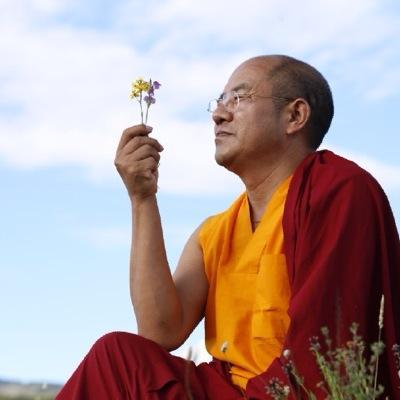 KhenpoSodargyeC Profile Picture