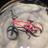 bmxguy137's profile image