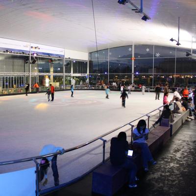 Gardenice rink gardenicerink X