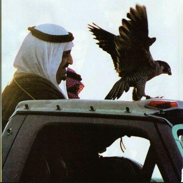 ‏‏‏لااله الا انت سبحانك اني كنت من الظالمين