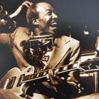 The Nite Times (@nite_times) 's Twitter Profile