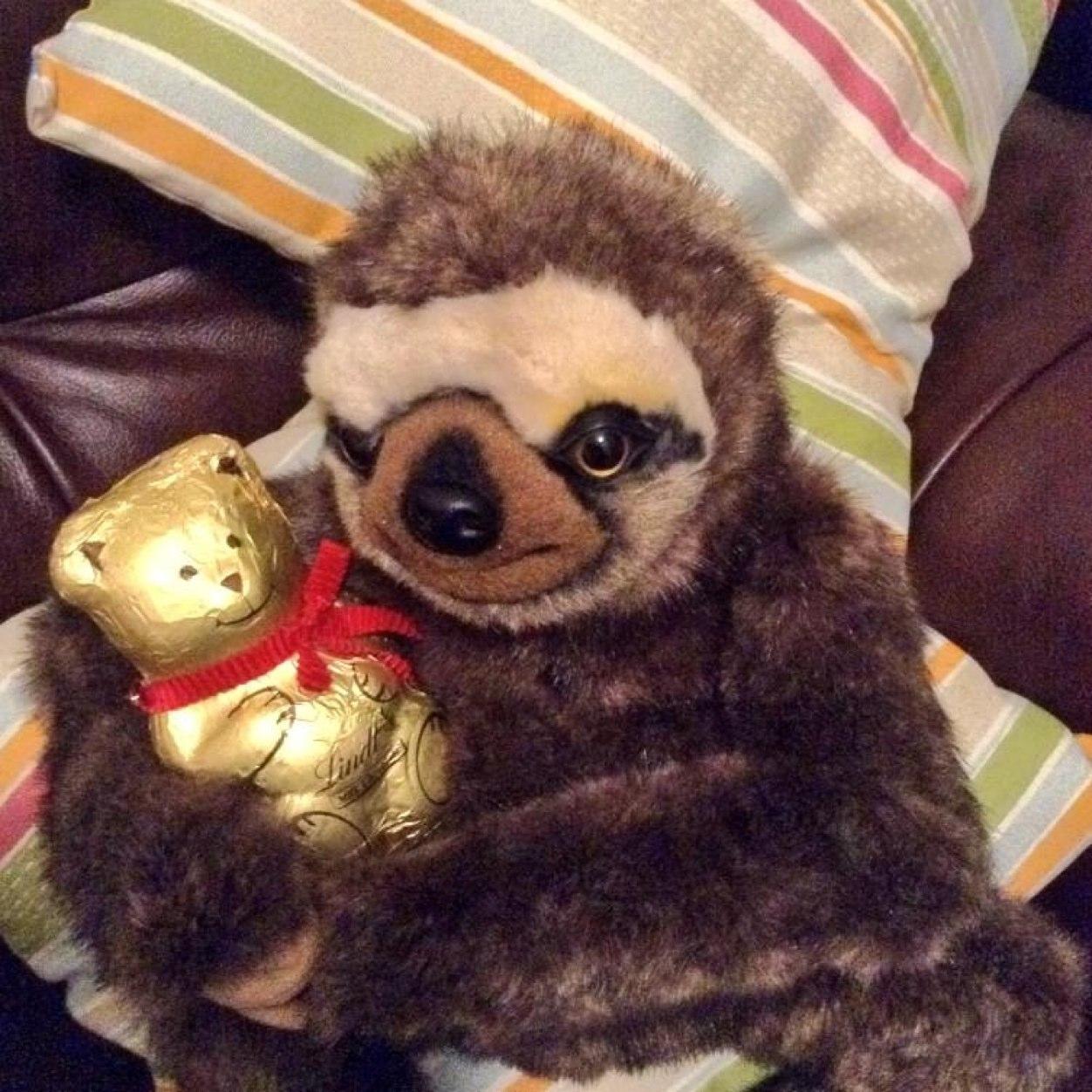 Nachman Shmulnik Mendel ben Shimon Gad.
Just a sloth, hanging about.