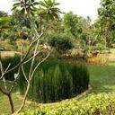 Charles Ong - @CharlieMeneer - Twitter