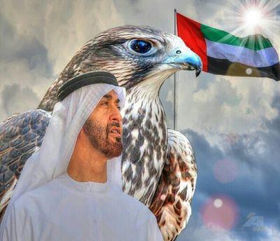 Khalid212121212's profile picture. 