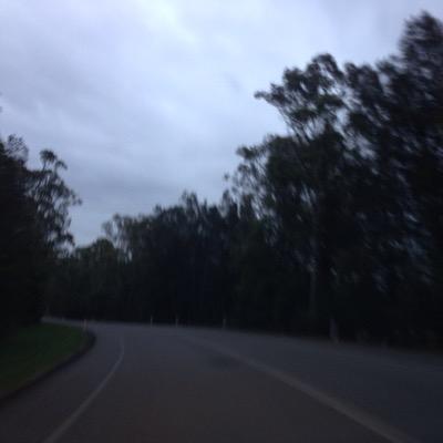 mhellicar's profile image