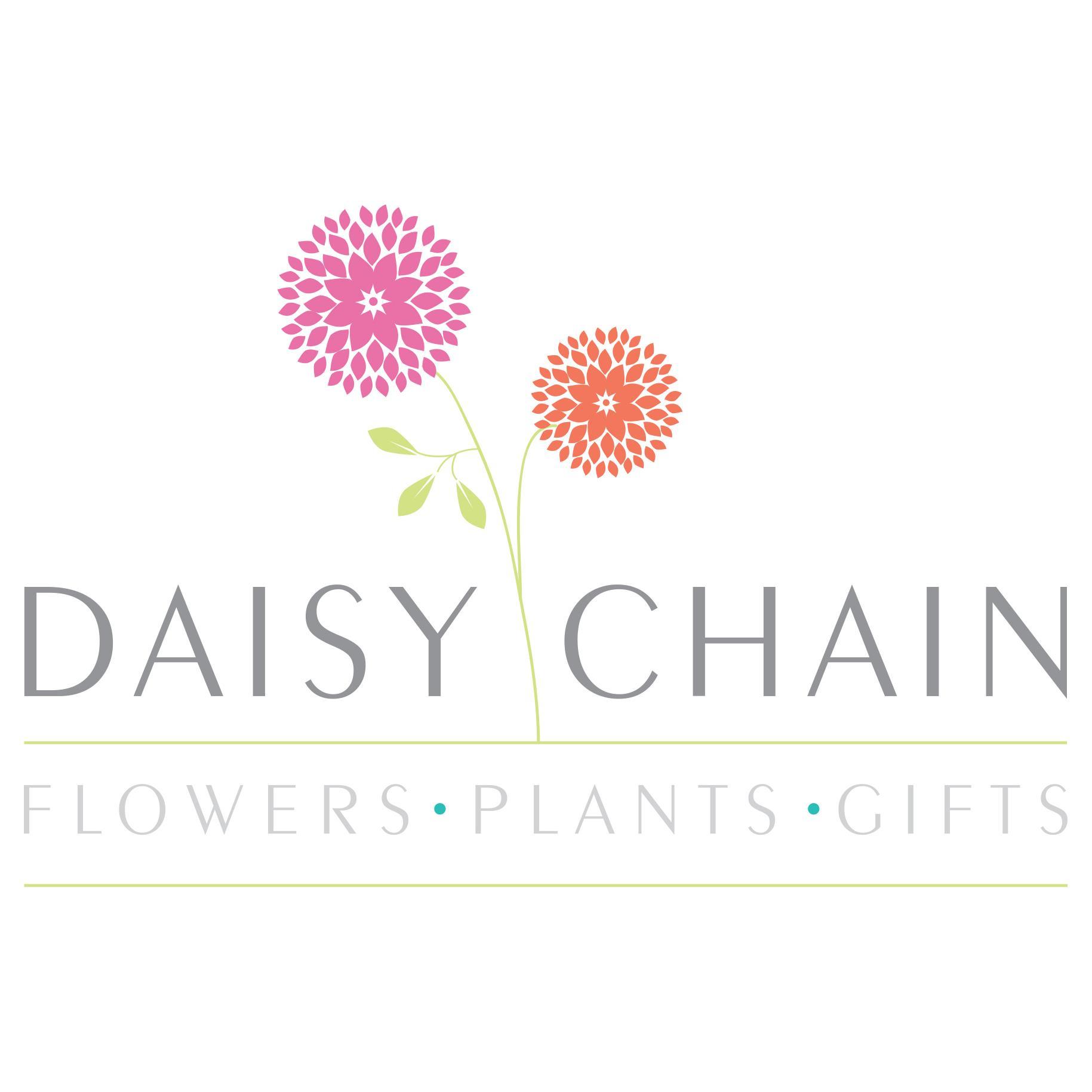 Daisy Chain is a professional florist offering the highest quality flowers & floral arrangements, based in Corsham, Wiltshire.
