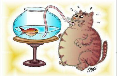 Account Of The Famous Mr.PussyPuss
Cat ! Follow The Cat Life I POST PUSSY 
*Fun Account*