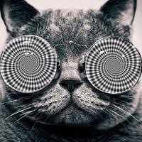 Devin (@devinisbeauiful) 's Twitter Profile Photo