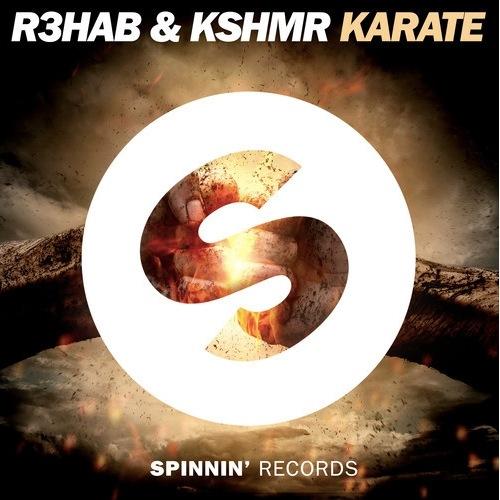 We spread R3HAB's music around the world❗️
