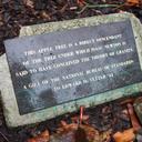 Bimal Regmi - @_CptRaaz_ - Twitter