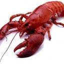 Libby Pearson - @libathneag - Twitter