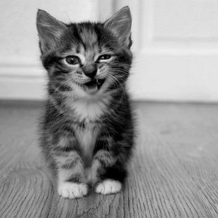 LoveNafsika's profile picture. 