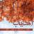 ADEEB_ALTAMIMI's profile image