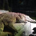 Ebbster - @michael_rawlins - Twitter