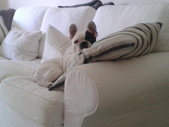 gareth_lord's profile picture. 