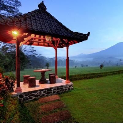 The perfect base for exploring Bali (Indonesia) in all its natural beauty. specialists in a more natural holiday experience. #Vacation #VisitBali #EcoHotel