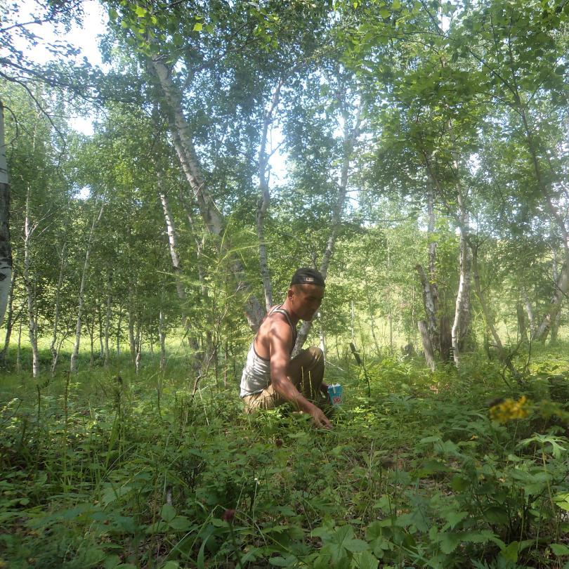 HChamcher's profile picture. 