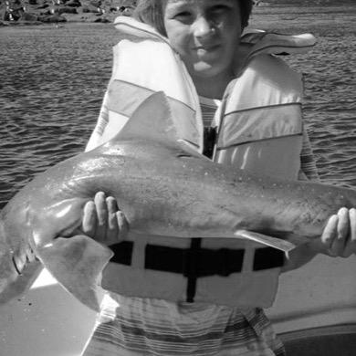 NSpiden's profile picture. Els.