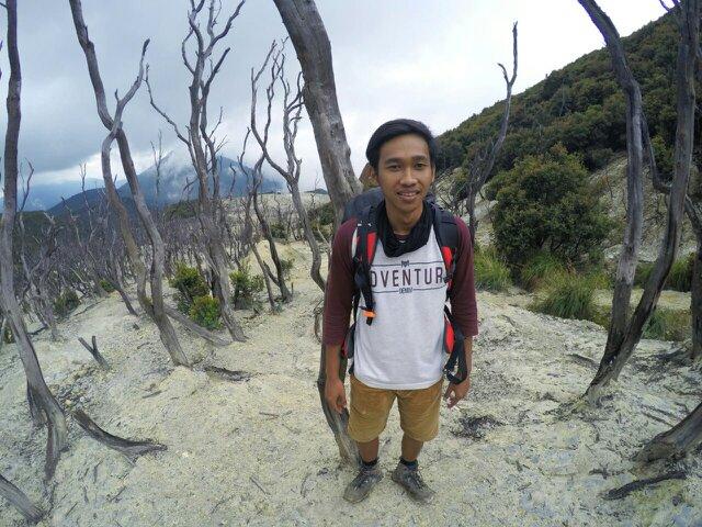 seearie's profile picture. i'm just a ordinary boy