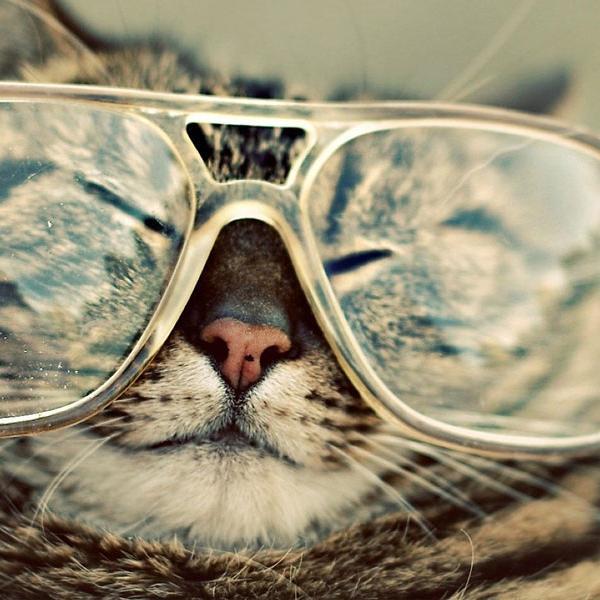 Moo1610's profile picture. 💜