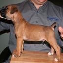 Dean Marlow - @MarlowBoxer - Twitter