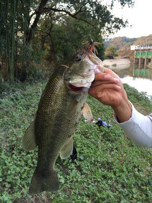 0709_tomohiro's profile picture. 高知高校→四国学院