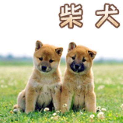 このアカウントはログアウトします。