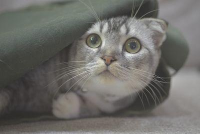 lilrosehere's profile picture. AMS•@Dorkydemigods is my bestie! Follow Her•4th Year violinist•B-day is January 9th•Some people are worth melting for- Olaf