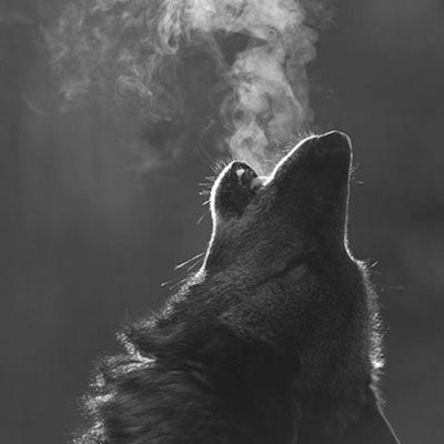 Red_Makz_ Profile Picture