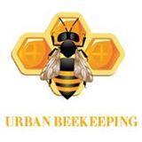 A complete guide on urban beekeeping