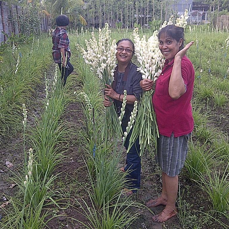 Hallo.... Friend...!