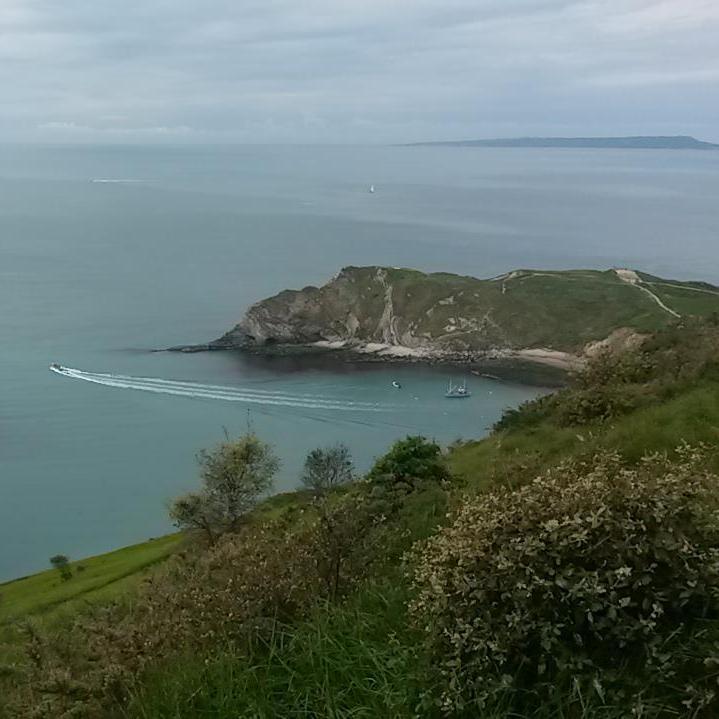 Purbeckhour's profile picture. Home of #PurbeckHour every Thursday between 7.30pm and 8.30pm to support local in the Isle of Purbeck. Bought to you by the people at Purbeck Journal