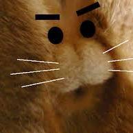まこ