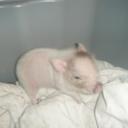 Victor Jarrett - @himynameislost - Twitter