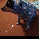 Melody Moreno - @Jet_Lag707 - Twitter