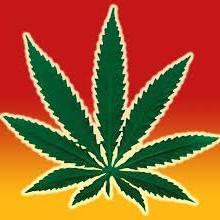 Blazin for days