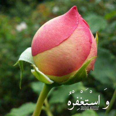 ‏‏‏سبحوا ، هللوا ، أستغفروا ، كبروا ، إجعلوا قليلاً من وقتكم للآخره

 اللهم جنّـةً بعد أسفار الحَيـاة*🍃