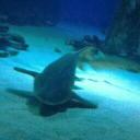 Dave Woodward - @derbydave7374 - Twitter