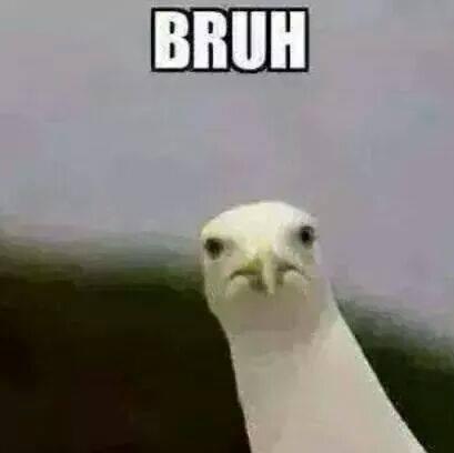 DurDurDave's profile picture. ya'll gon make me lose my mind