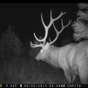 Michael Capito - @capito_michael - Twitter