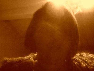 devaux_noe's profile picture. 