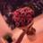 ASEELALSUWAYL's profile image