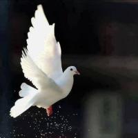 د. مُنى العتيبي (@monaotib) 's Twitter Profile Photo د. مُنى العتيبي (@monaotib) 's Twitter Profile Photo