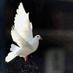 د. مُنى العتيبي (@monaotib) Twitter profile photo د. مُنى العتيبي (@monaotib) Twitter profile photo