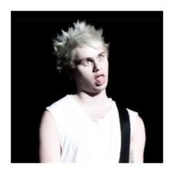 im punk rock i do what i want