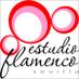Estudio Flamenco (@flamencoestudio) Twitter profile photo