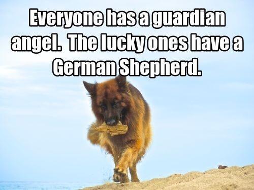 Compaion to my loyal and faithful friend GSD Sirus. Hope to be back tweeting again in late May 2015. #service dogs #veterans opinions my own.